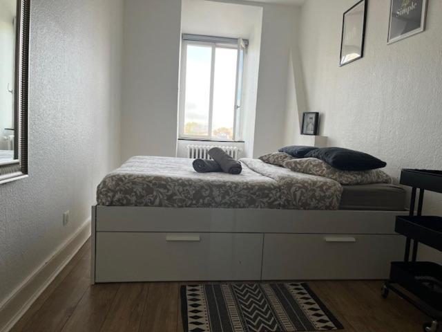 Cosy Rent Strasbourg Orangerie Tv Wifi Cathedrale Lägenhet Exteriör bild